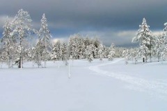 Vinter i Grannäs